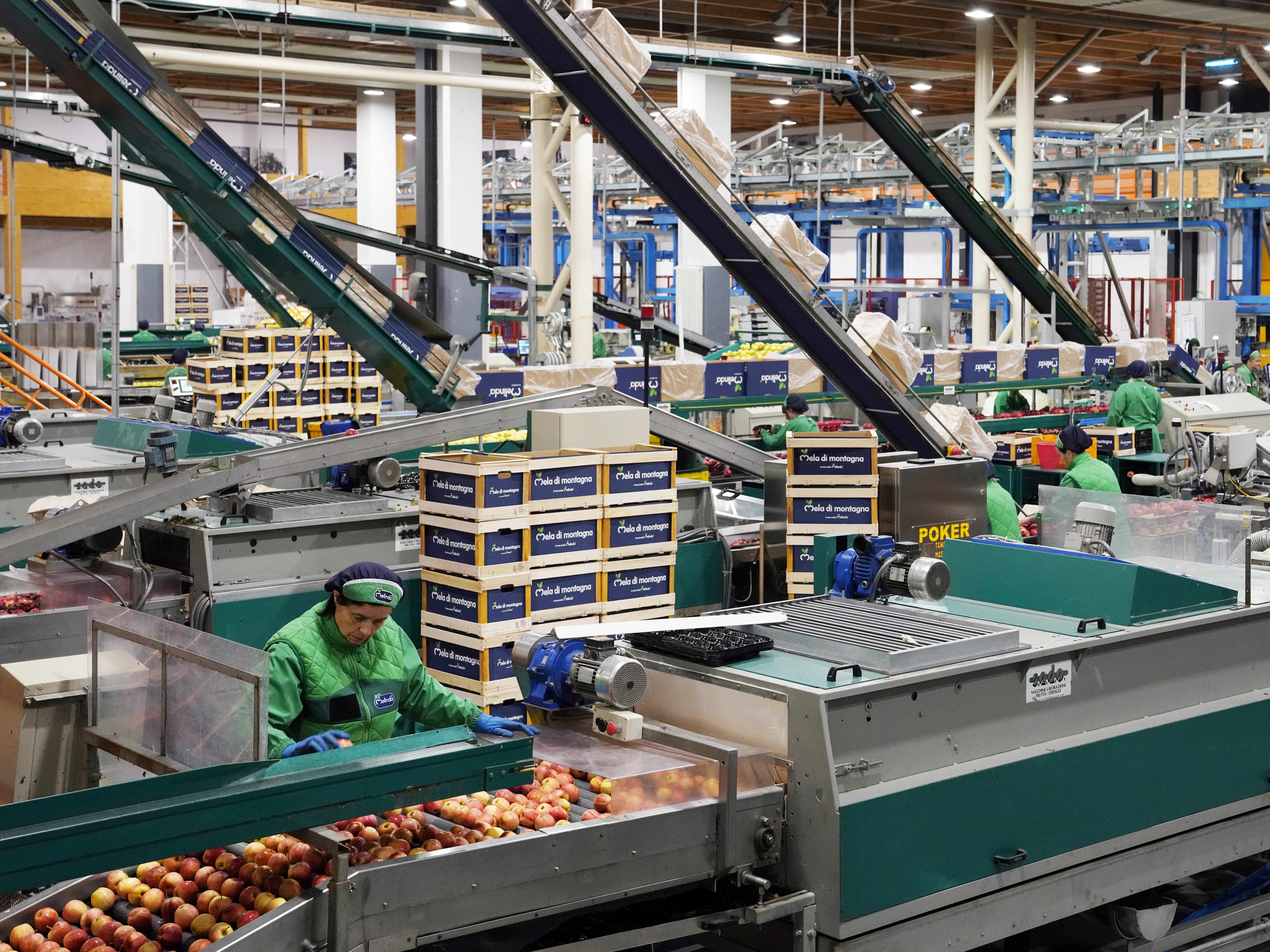 trentino. tn. centro di lavorazione e trasformazione mondo melinda.