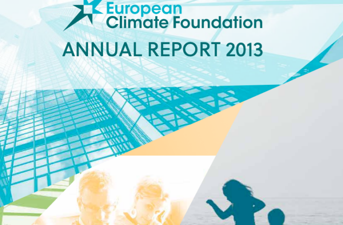 ecf 2013 annual report cover