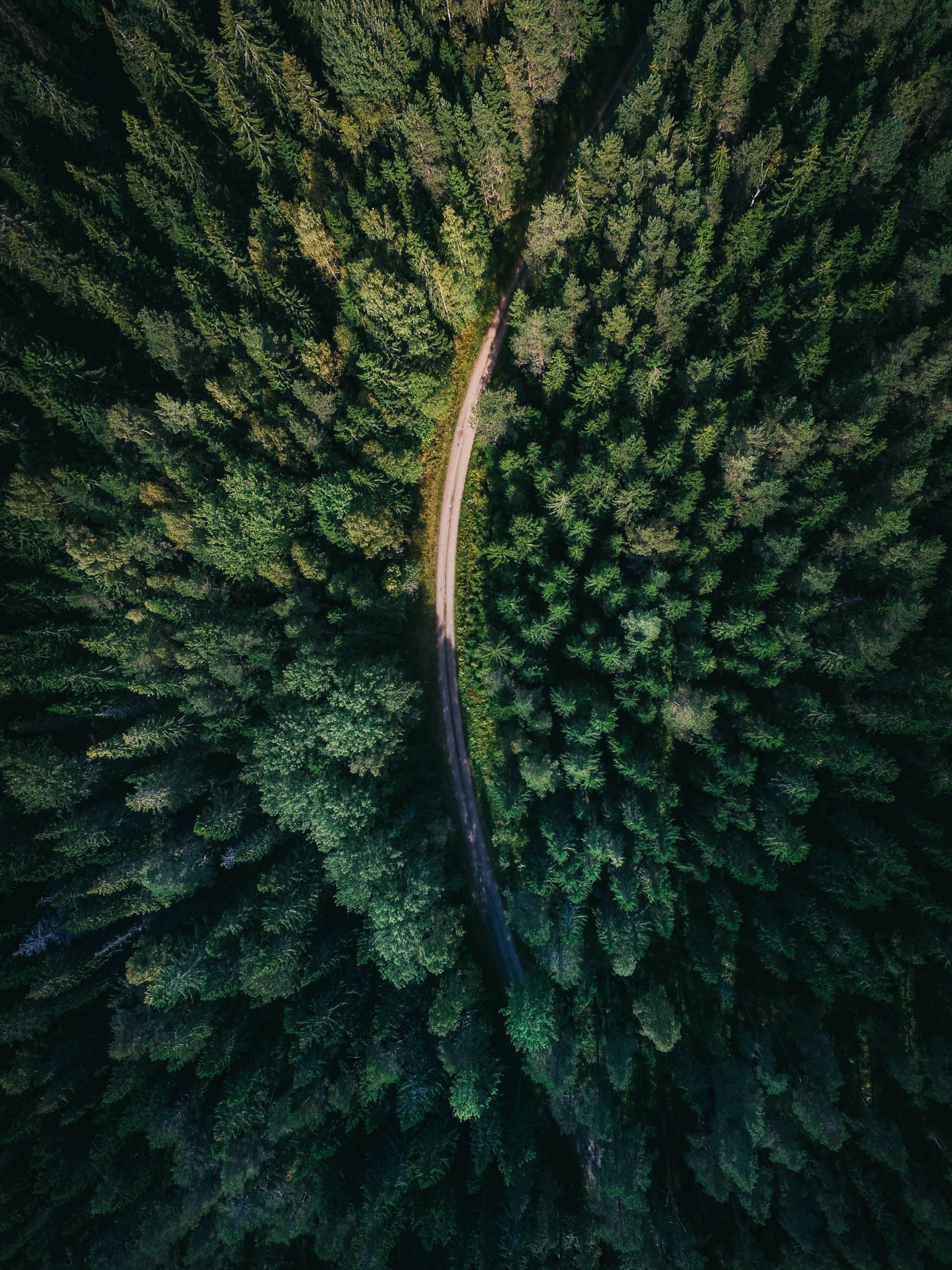 Emissions impacts of burning wood for heat and power European Climate