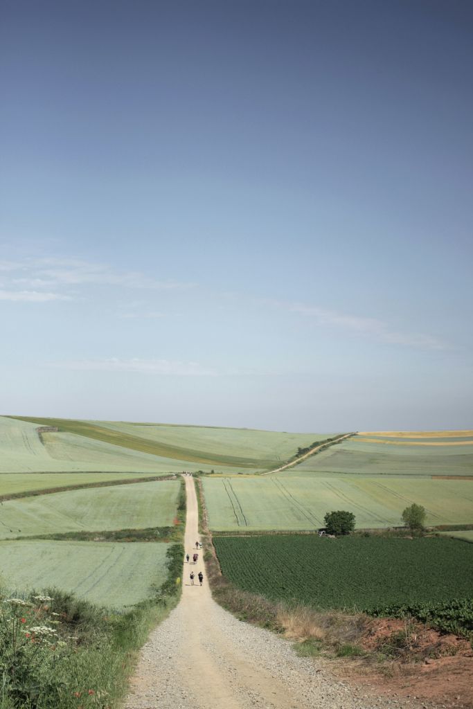 camino de santiago